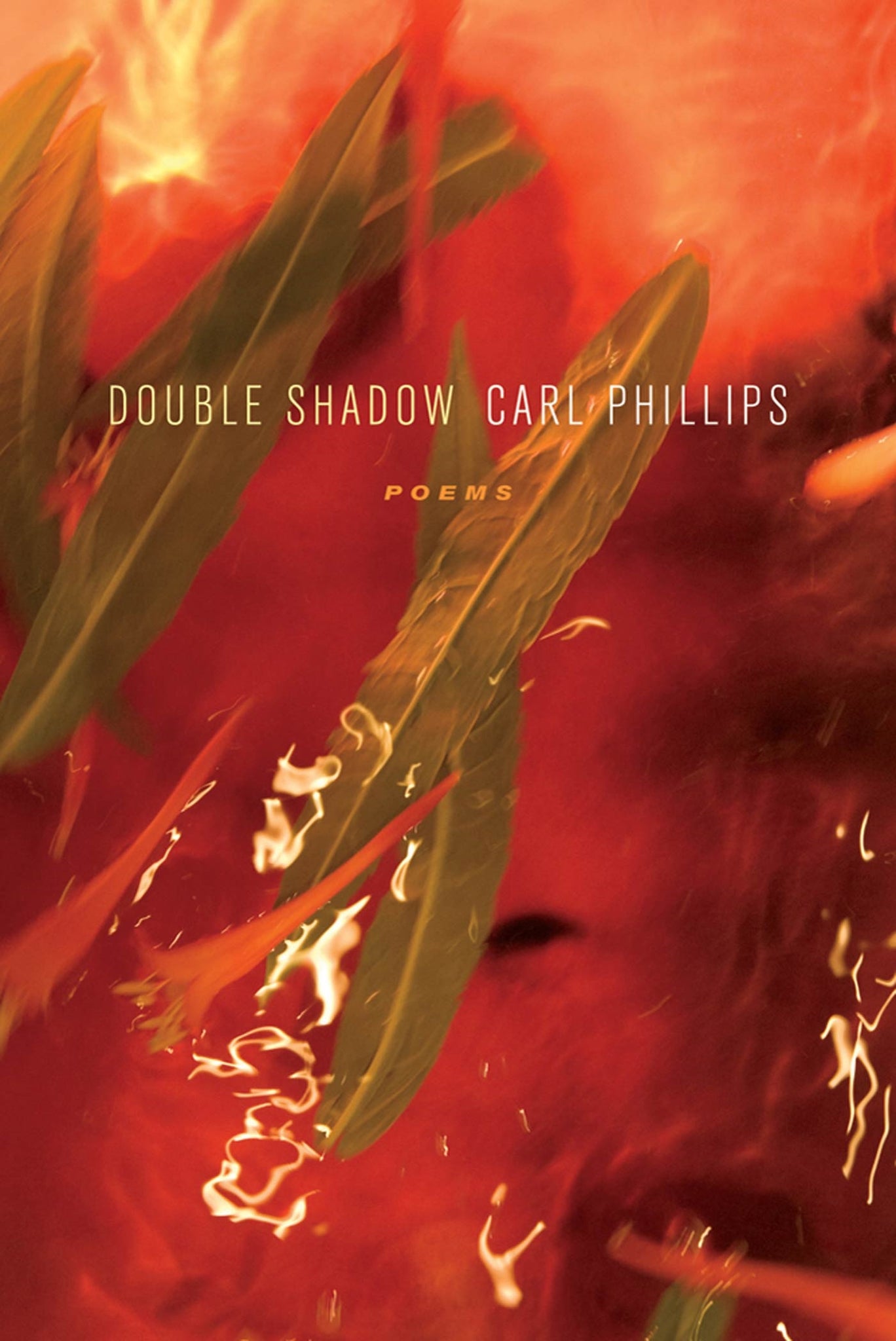 Double Shadow : Poems