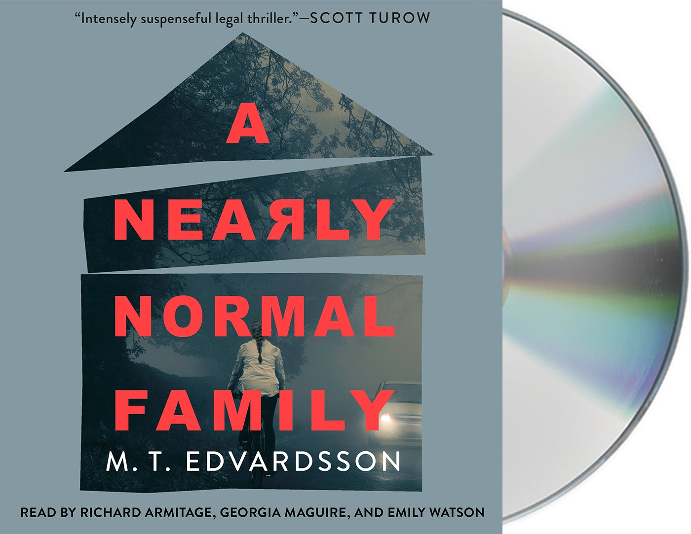 A Nearly Normal Family : A Novel