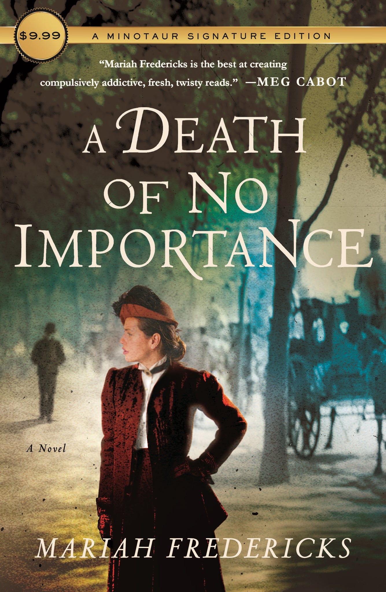 A Death of No Importance : A Novel