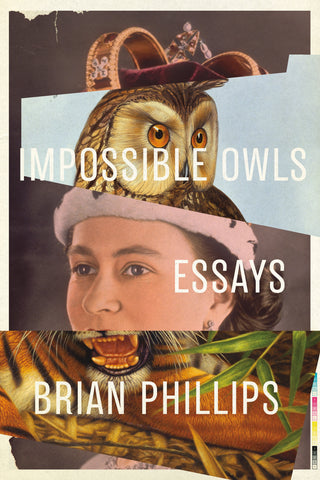 Impossible Owls : Essays