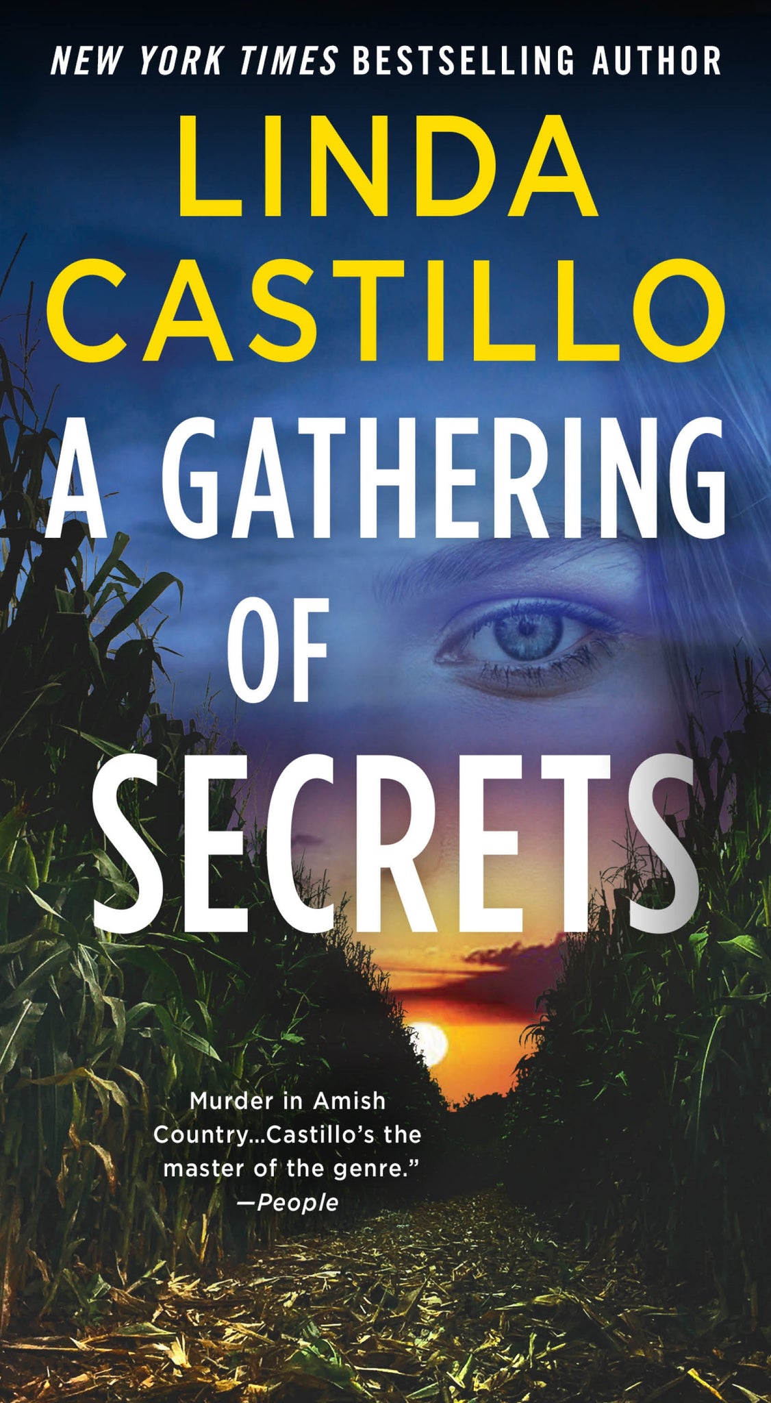 A Gathering of Secrets : A Kate Burkholder Novel