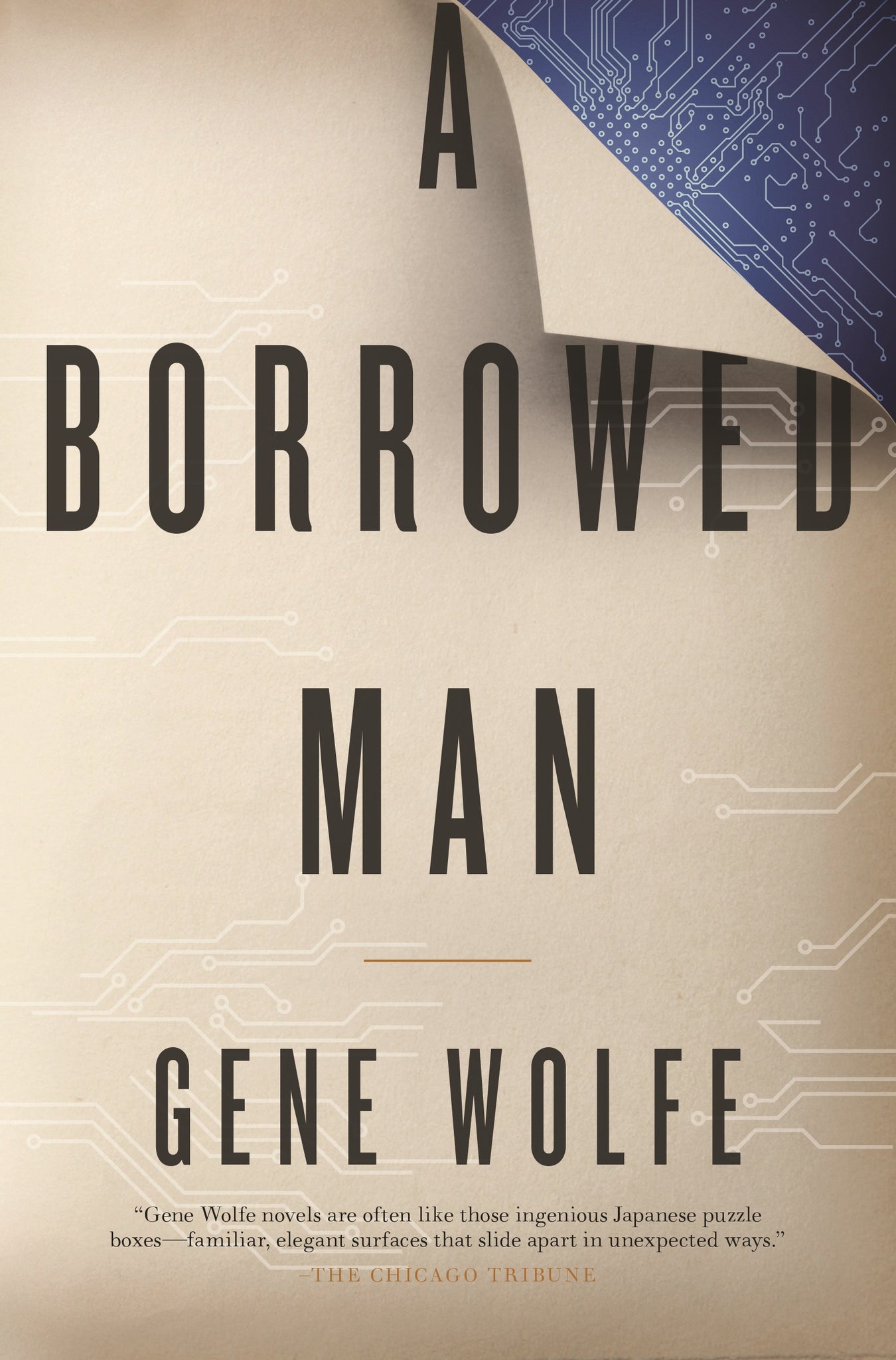 A Borrowed Man : A Novel