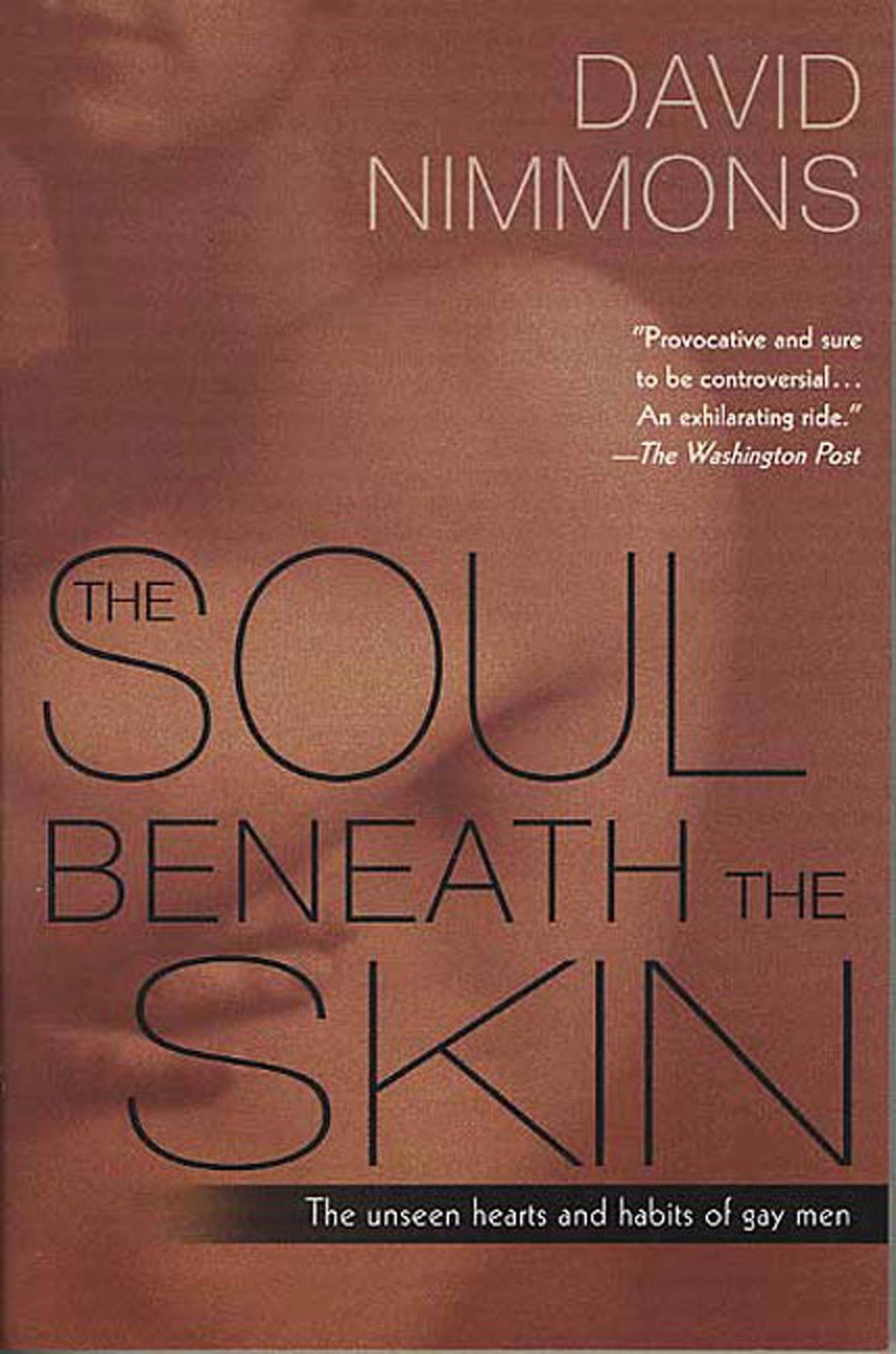 The Soul Beneath the Skin : The Unseen Hearts and Habits of Gay Men