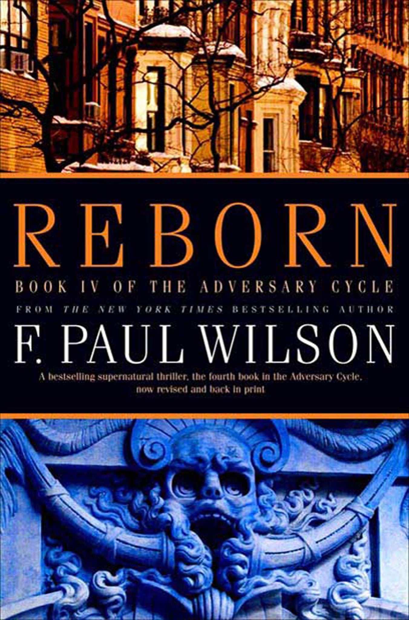 Reborn : Book IV of the Adversary Cycle