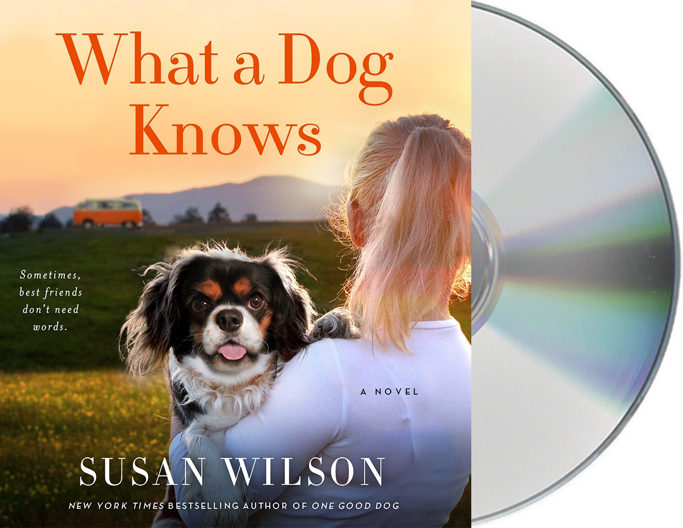 What a Dog Knows : A Novel