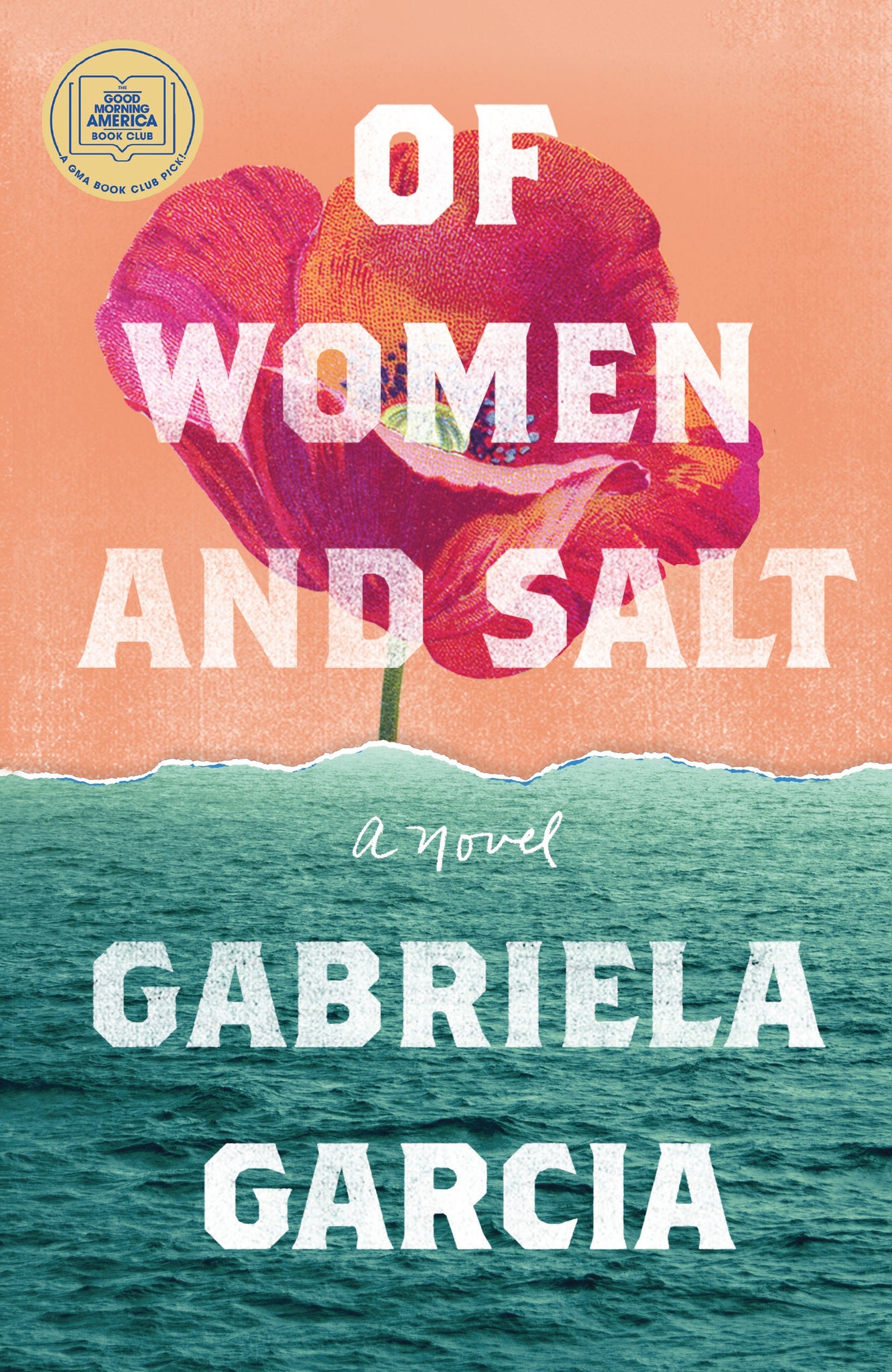 Of Women and Salt : A Novel