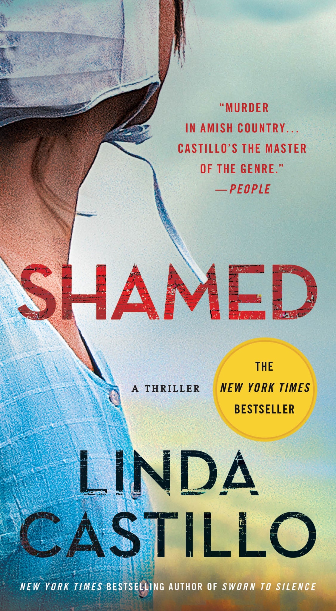 Shamed : A Novel of Suspense