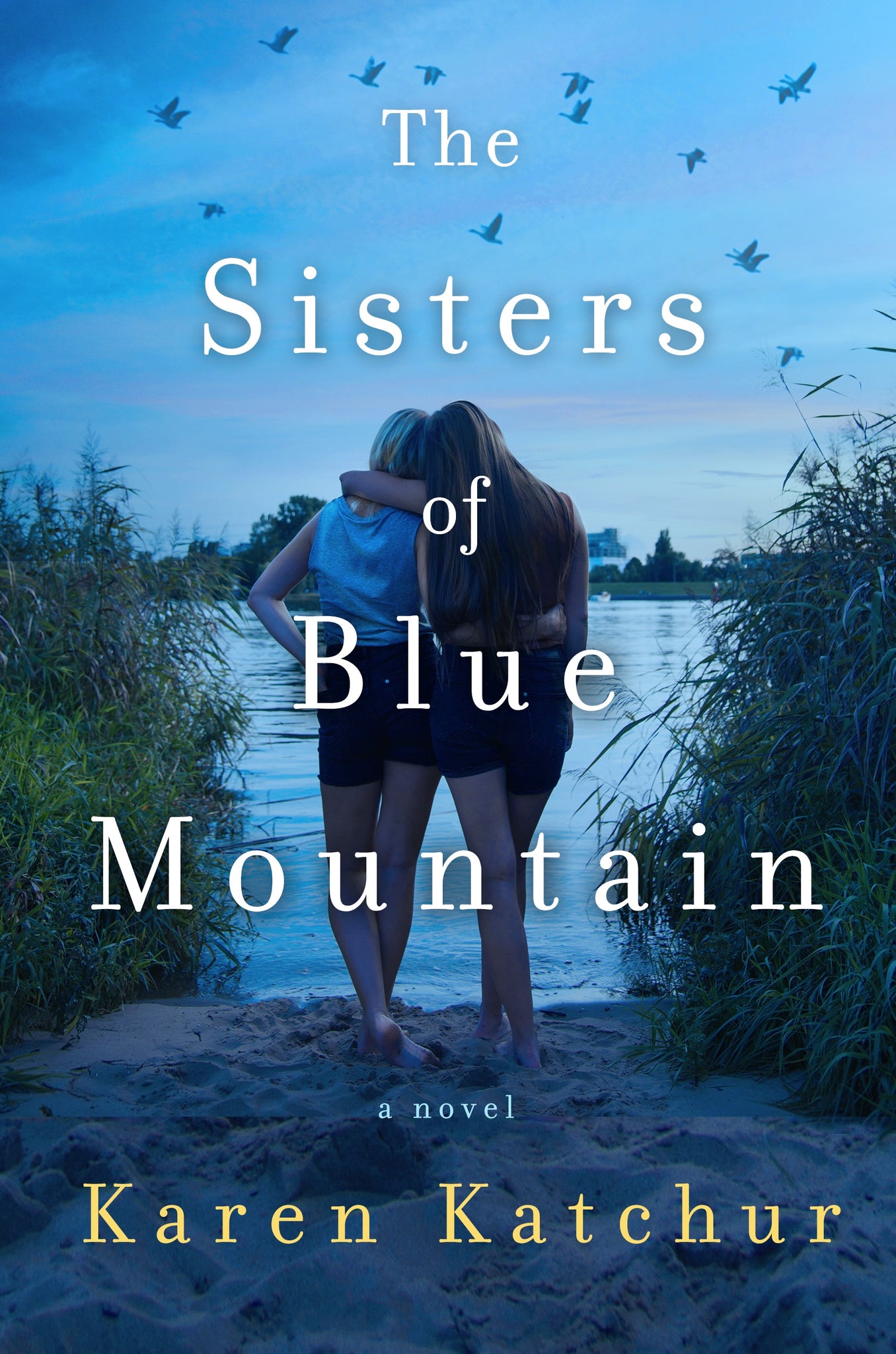 The Sisters of Blue Mountain : A Novel