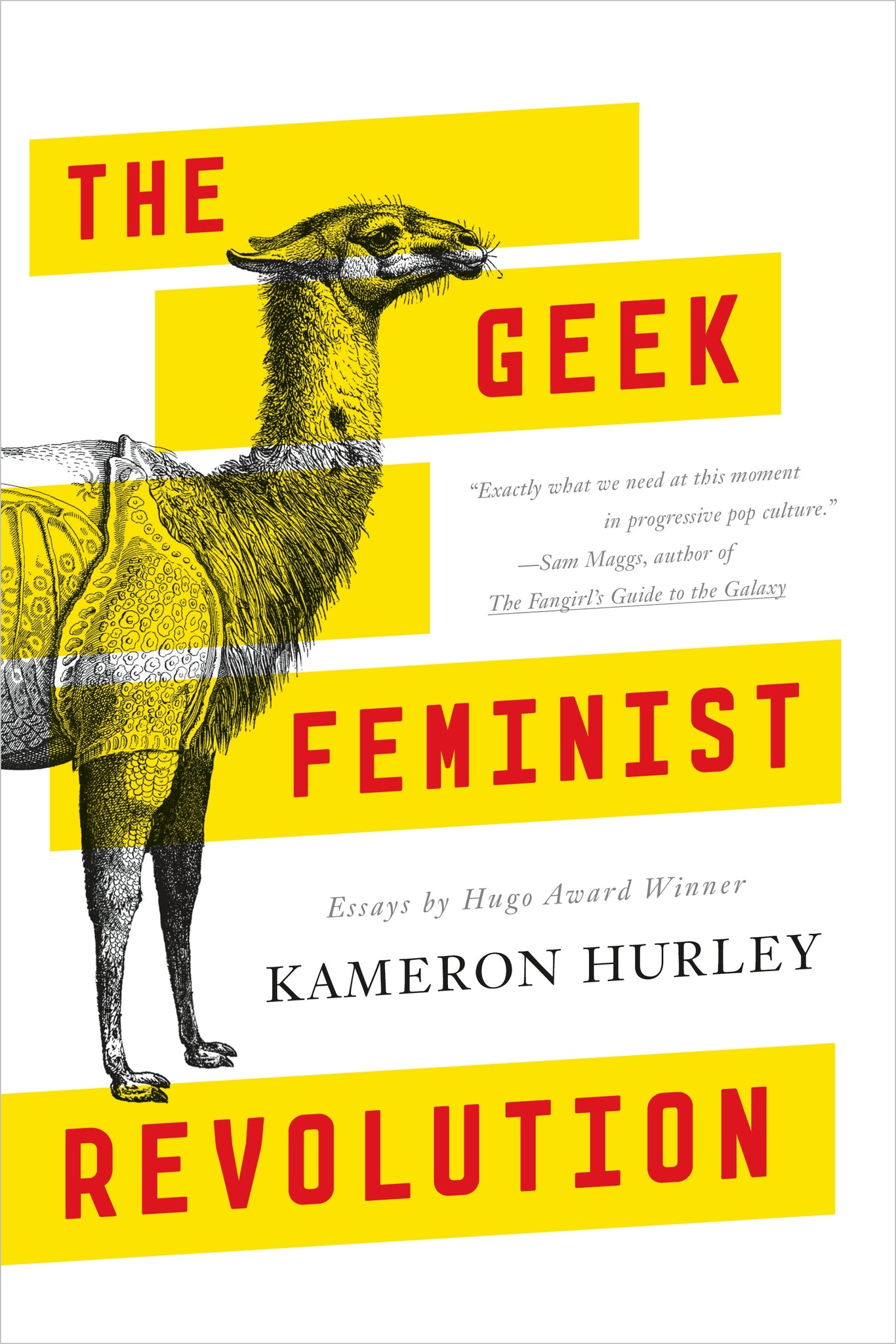 The Geek Feminist Revolution : Essays