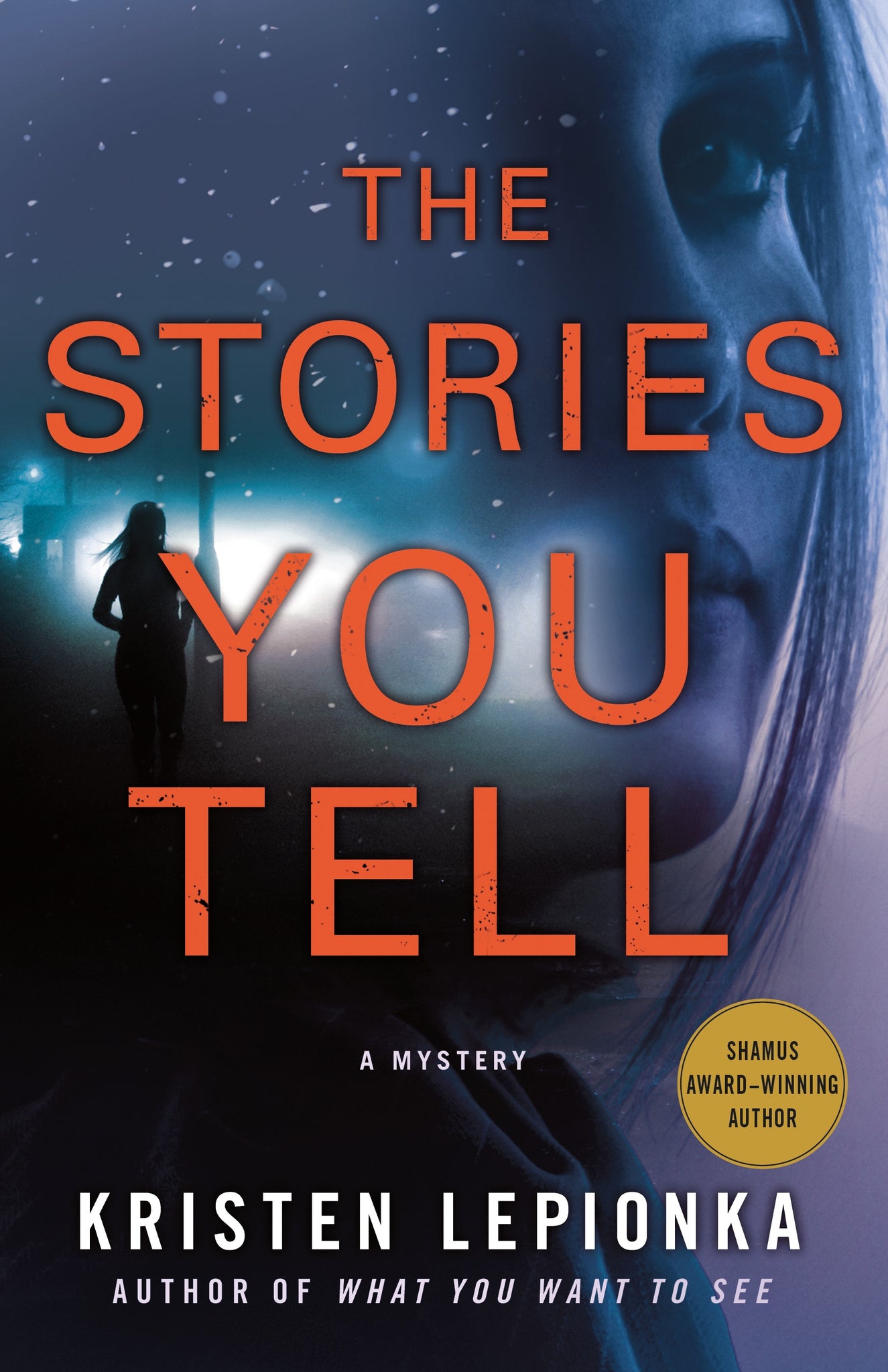 The Stories You Tell : A Mystery