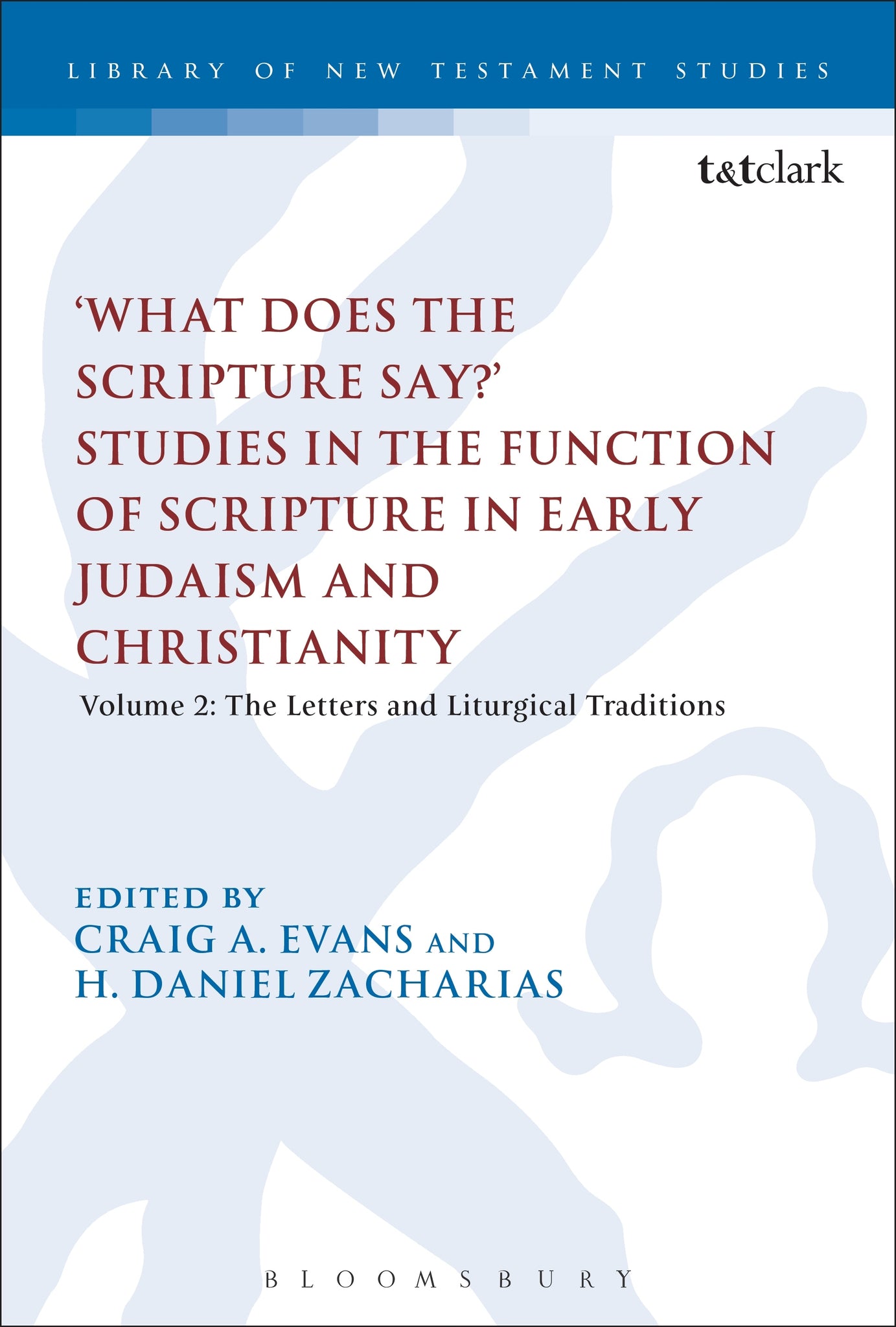 'What Does the Scripture Say?' Studies in the Function of Scripture in Early Judaism and Christianity, Volume 2 : Volume 2: The Letters and Liturgical Traditions